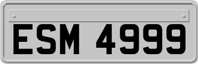 ESM4999