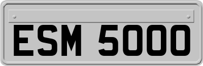 ESM5000