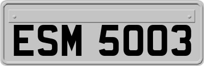 ESM5003