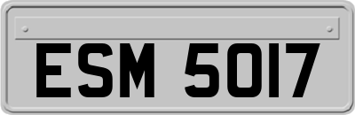 ESM5017