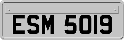 ESM5019