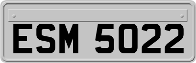 ESM5022