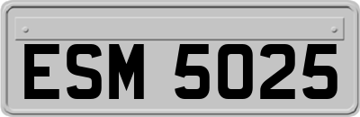 ESM5025