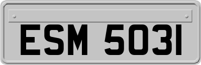 ESM5031