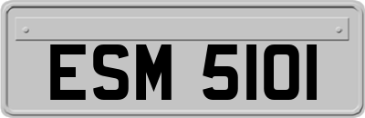 ESM5101