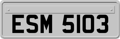 ESM5103