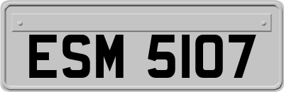 ESM5107