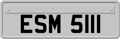 ESM5111