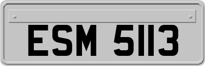 ESM5113
