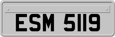 ESM5119
