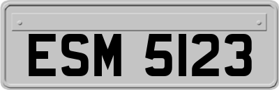 ESM5123