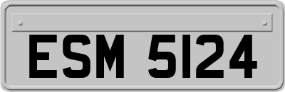 ESM5124