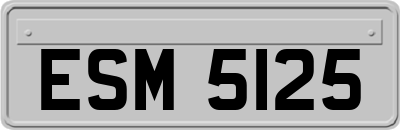 ESM5125