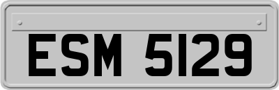 ESM5129