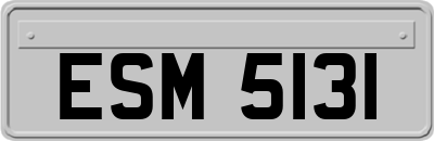 ESM5131
