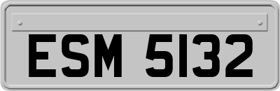 ESM5132