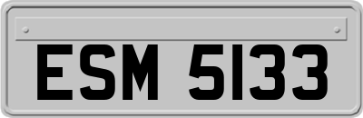 ESM5133
