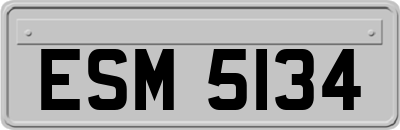 ESM5134