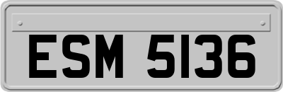 ESM5136