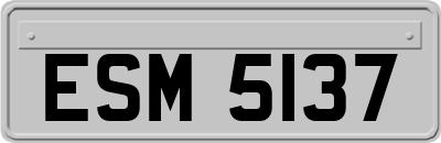 ESM5137