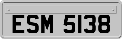 ESM5138