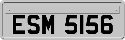 ESM5156