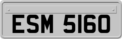 ESM5160