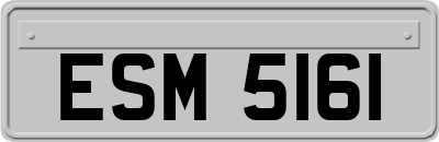 ESM5161