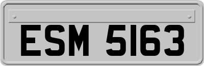 ESM5163