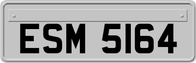 ESM5164