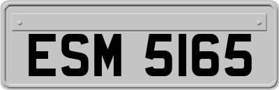 ESM5165