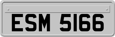 ESM5166