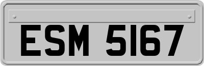 ESM5167
