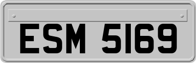 ESM5169