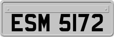 ESM5172