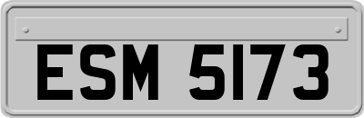 ESM5173