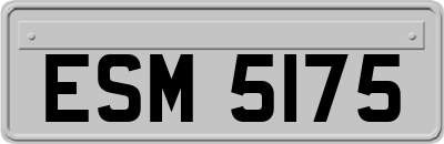ESM5175