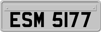 ESM5177