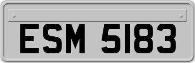 ESM5183