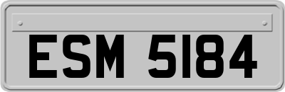 ESM5184