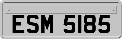 ESM5185