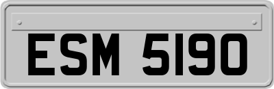 ESM5190