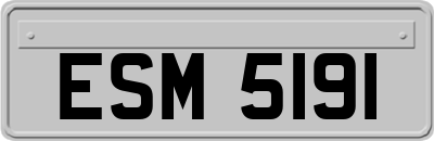 ESM5191