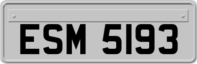 ESM5193