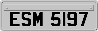 ESM5197