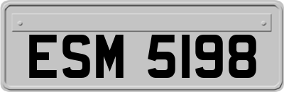 ESM5198