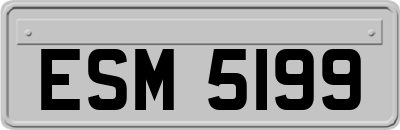 ESM5199