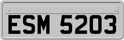 ESM5203