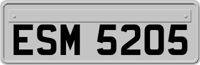 ESM5205