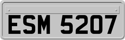 ESM5207